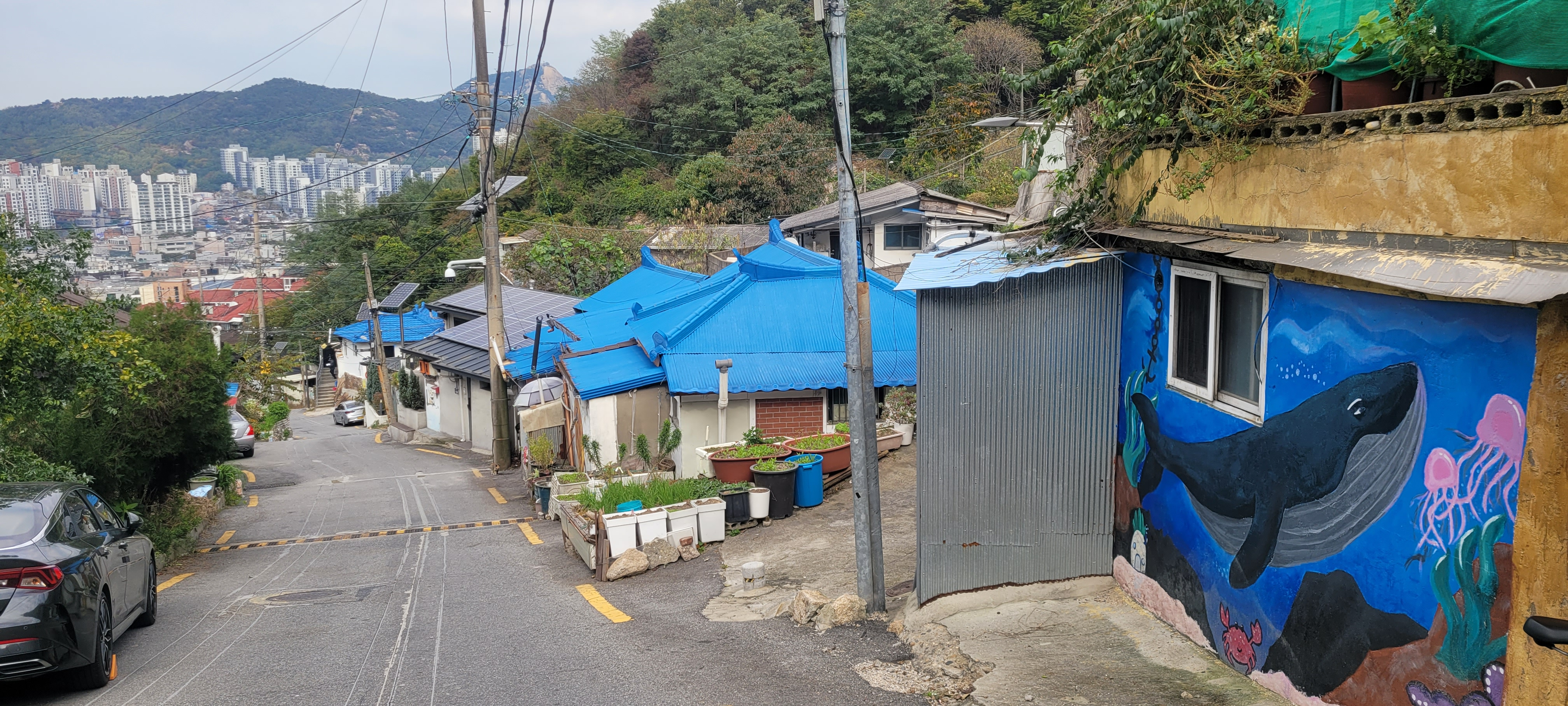 ▲ 인왕산과 인접한 개미마을 전경과 벽화