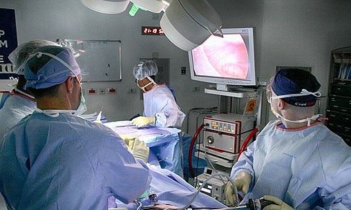 이해를 돕기 위한 내시경 장면 이미지