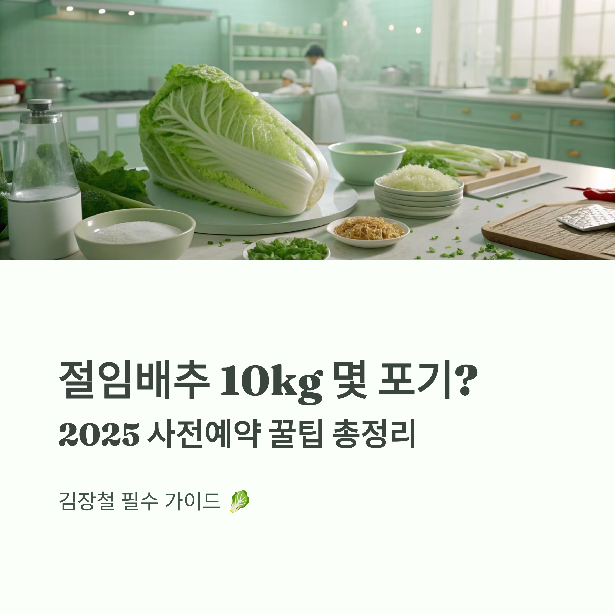 절임배추 10kg 몇 포기? ❘ 2025 절임배추 사전예약 꿀팁 총정리
