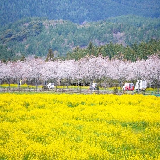 3월 제주도 가볼만한곳 10곳