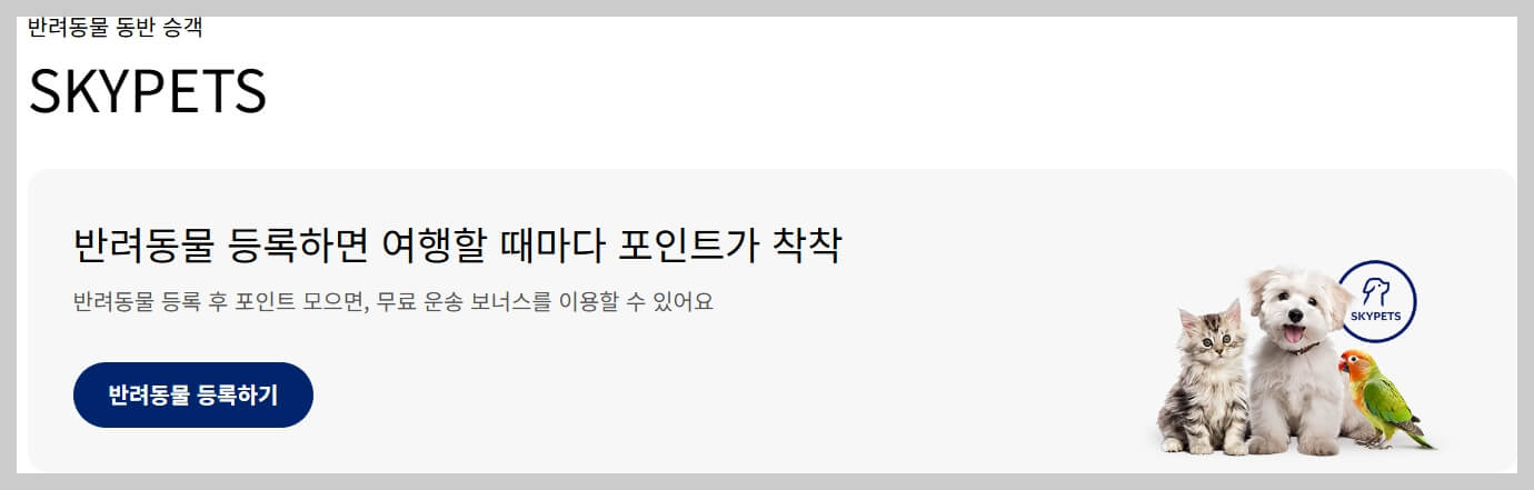 대한항공 수화물 규정, 기내 수하물, 위탁 수하물 크기와 무게 허용량 총정리!