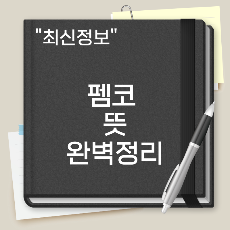 펨코 뜻