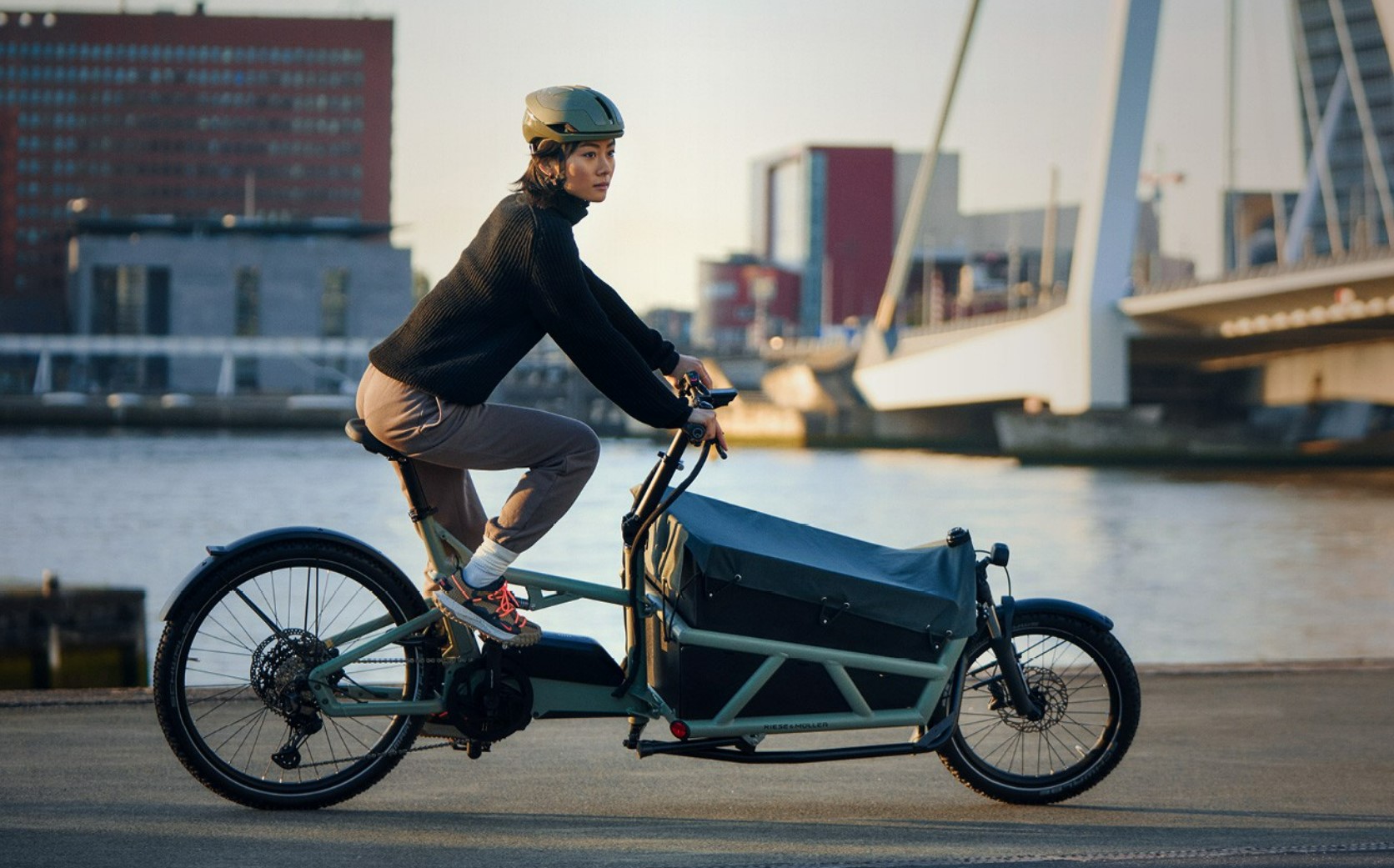 Riese & Müller 홈피 컷 4