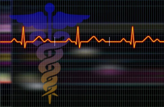 심장의 경고,부정맥 원인과 생활 속 예방법