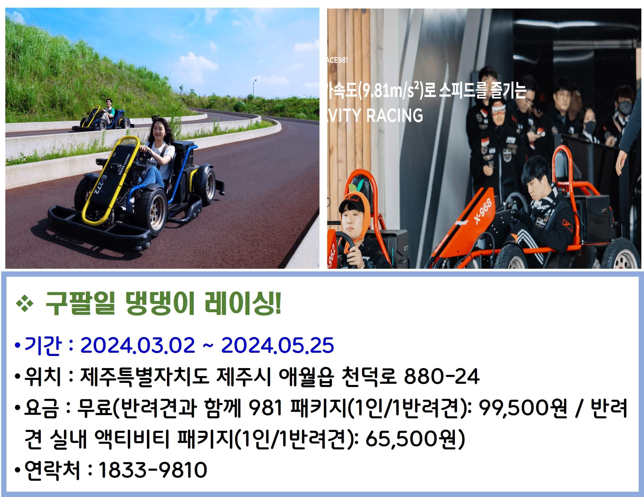 구팔일 댕댕이 레이싱