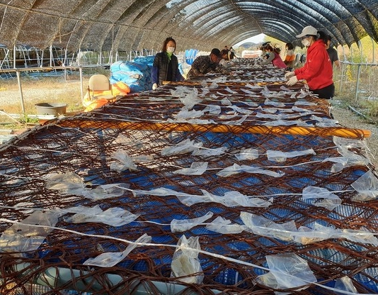 어업인 재해보험