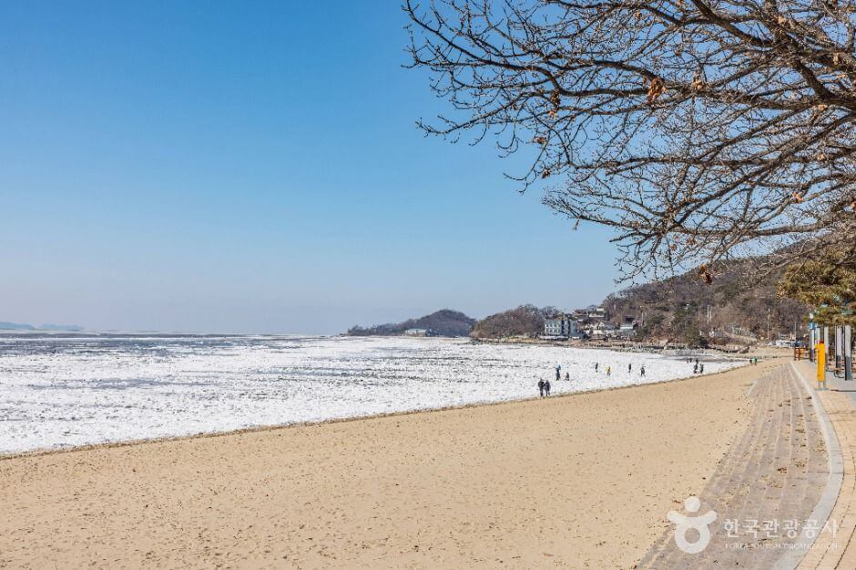서해 가볼만한곳 베스트 10