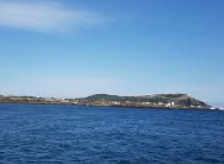 제주 우도 배시간표