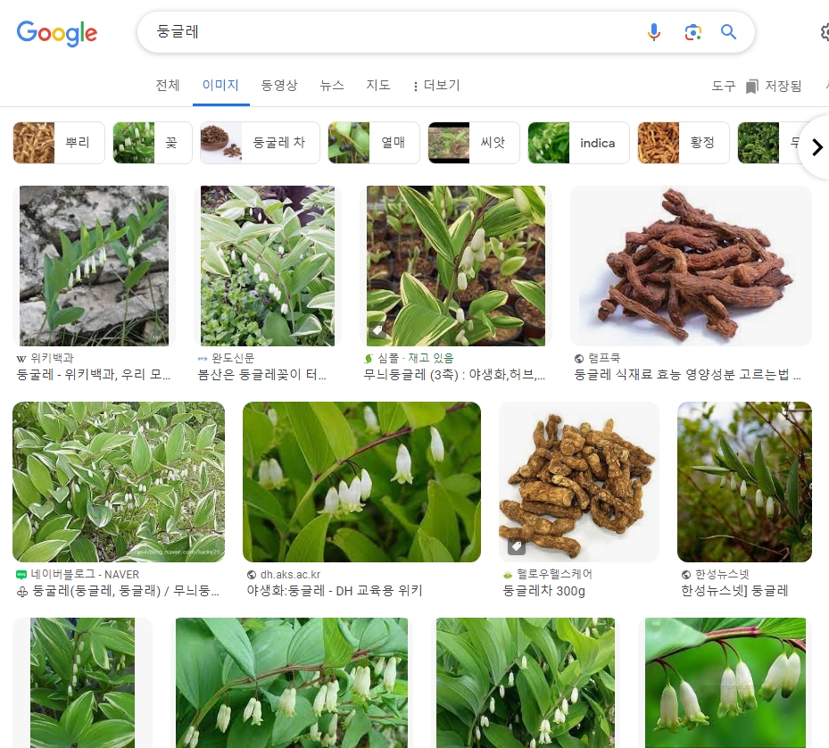 둥글레차를 물 대신 마시는 것에 대한 주의사항을 설명하는 이미지