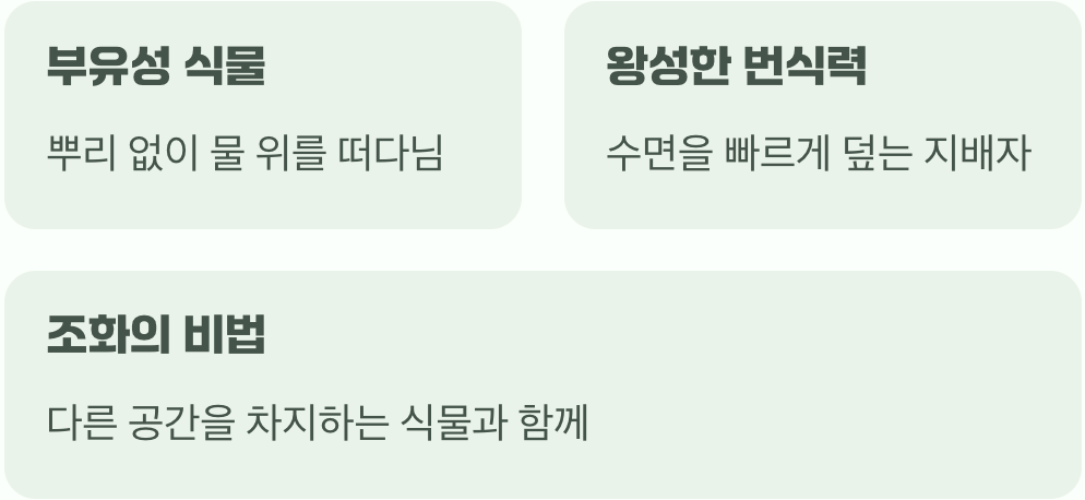 주인공의 성격을 알아야 해요