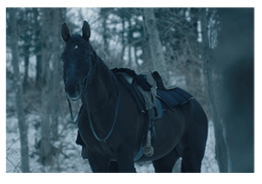 3&amp;#44;4회 관전 포인트