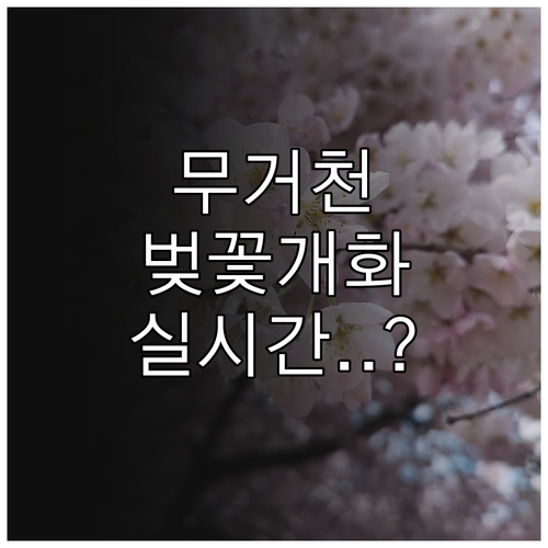 울산 남구 벚꽃 나들이 무거천 축제와..