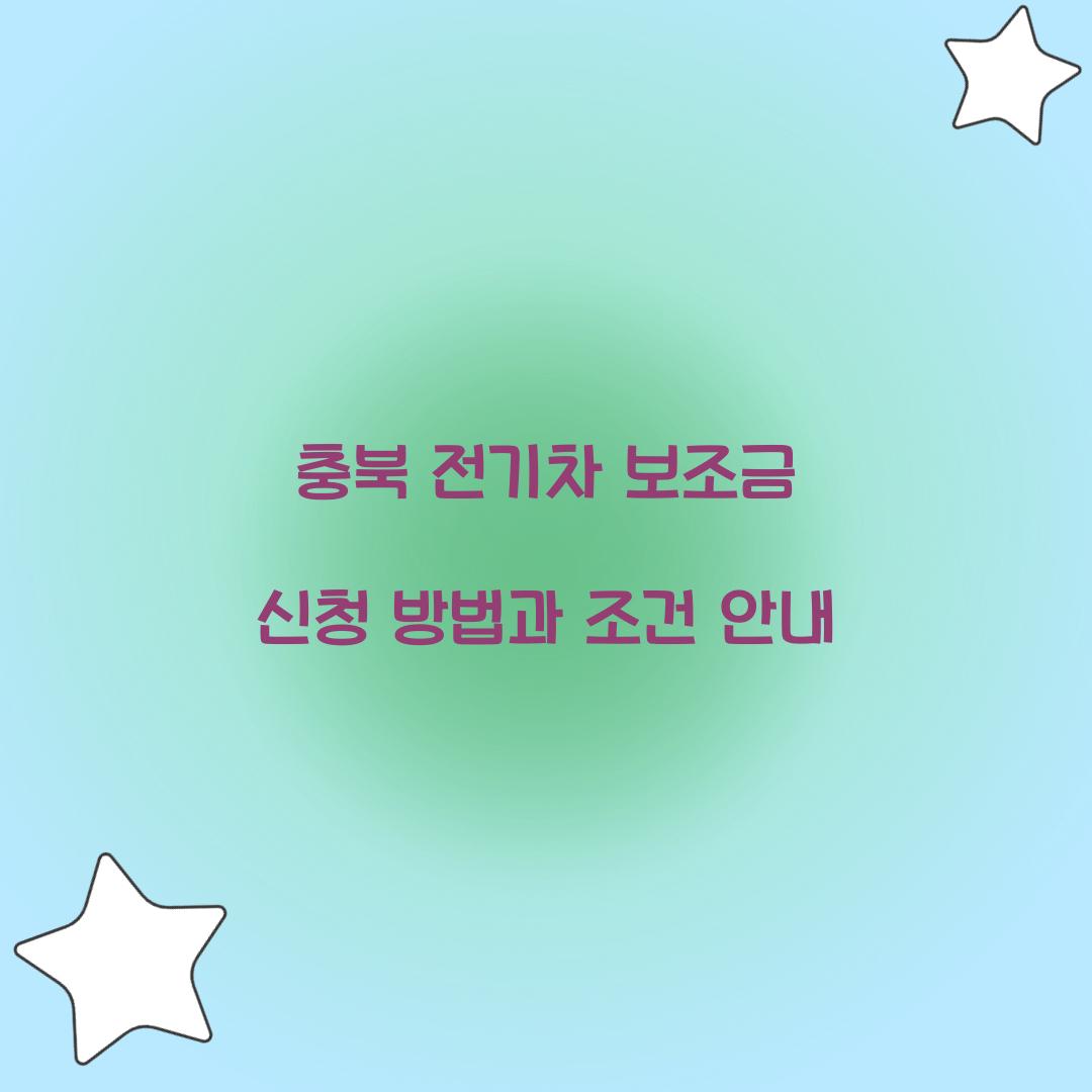 충북 전기차 보조금