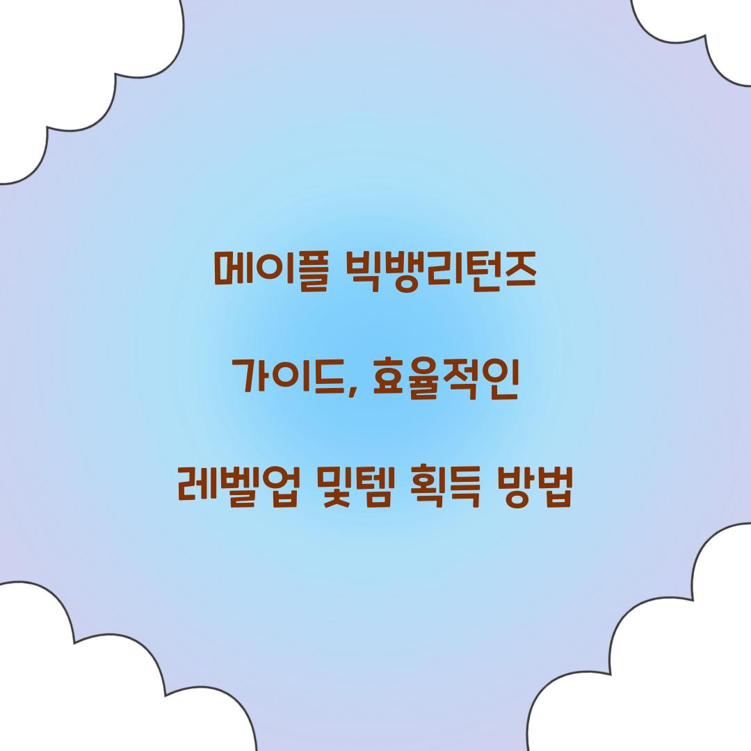 메이플 빅뱅리턴즈 가이드