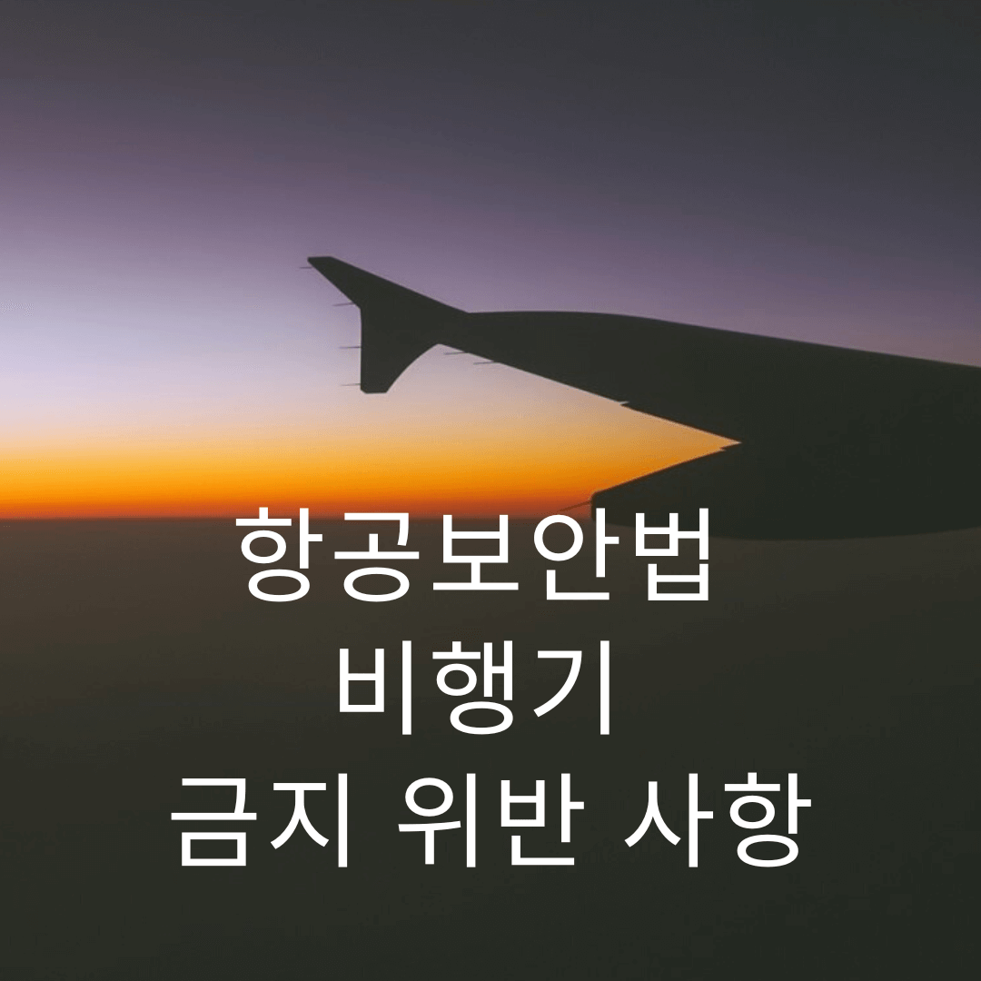 항공보안법-위반사항