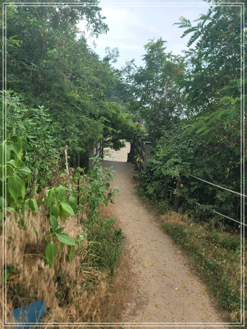 소무의도-둘레길20250714_115601