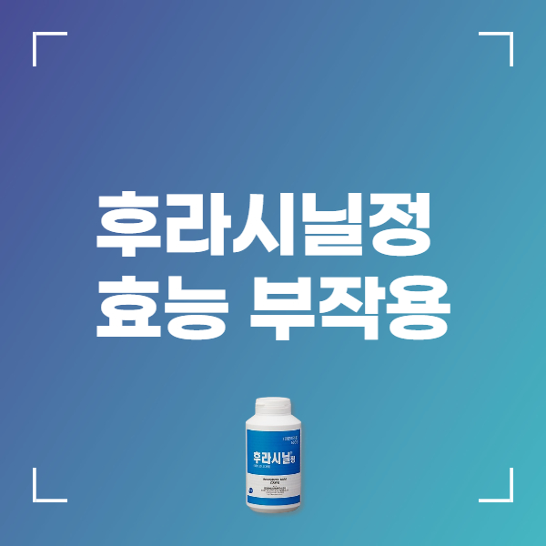 후라시닐정 250mg 세균성 질염 효능 부작용 복용법