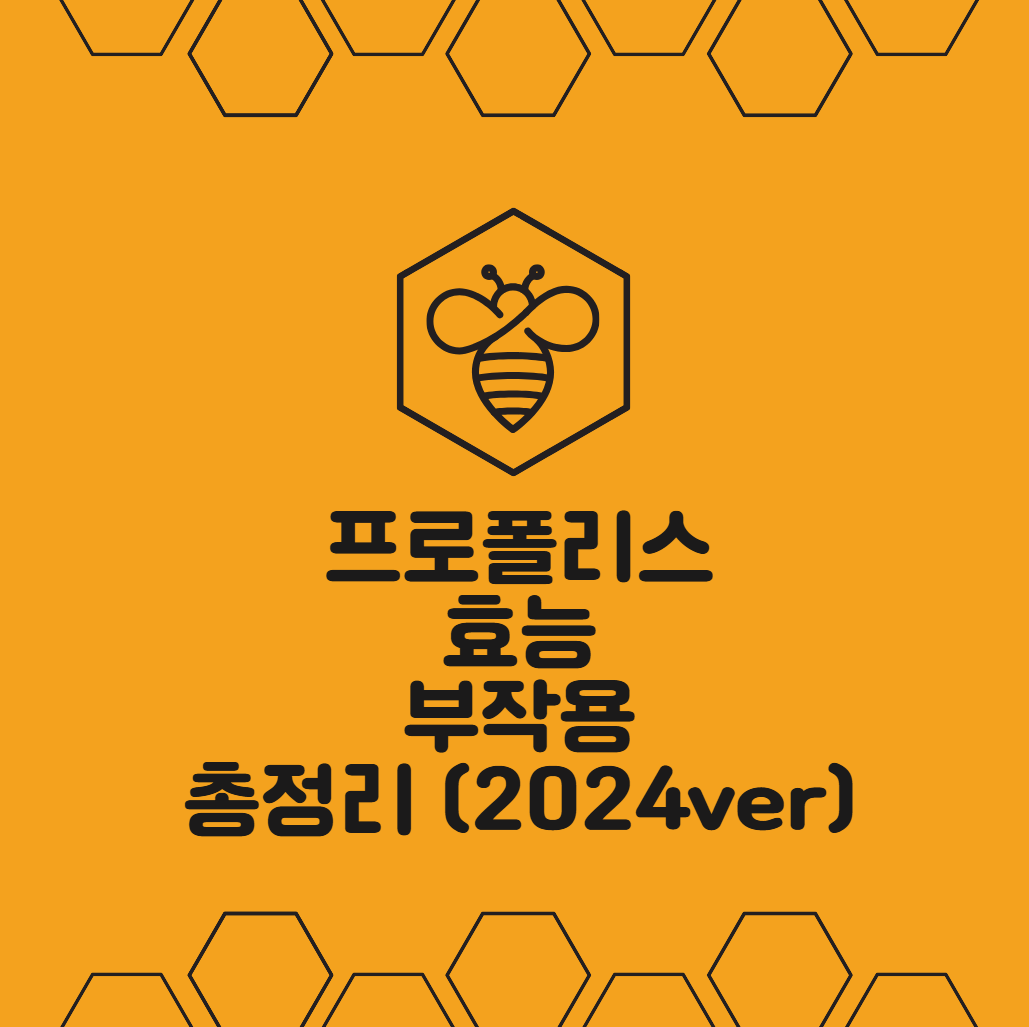 프로폴리스 효능, 부작용 총정리 (2024ver)
메인 키워드