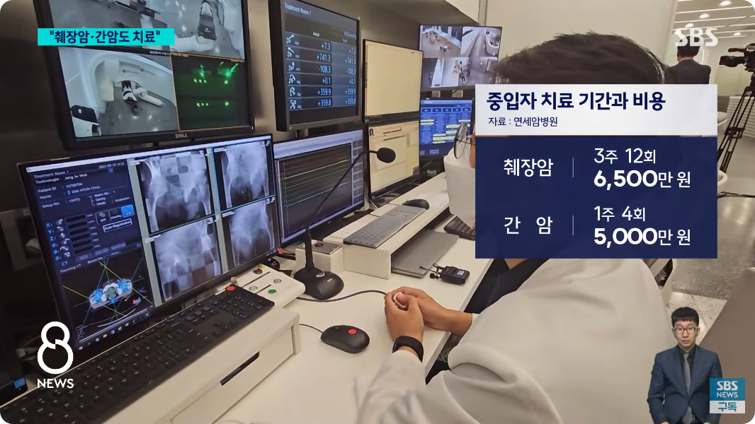 중입자 치료
