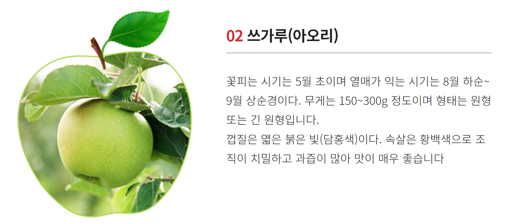 밀양-얼음골-사과축제