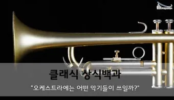 오케스트라를 구성하는 클래식 악기들의 종류와 특징을 정리_4