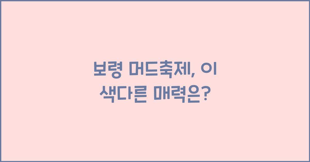보령 머드축제