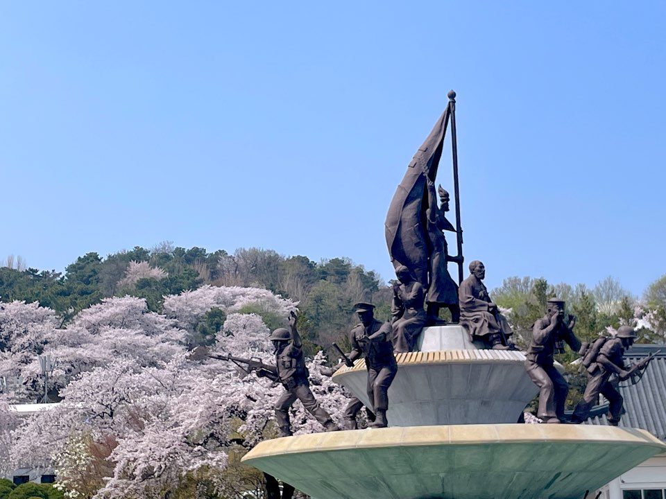 벚꽃
