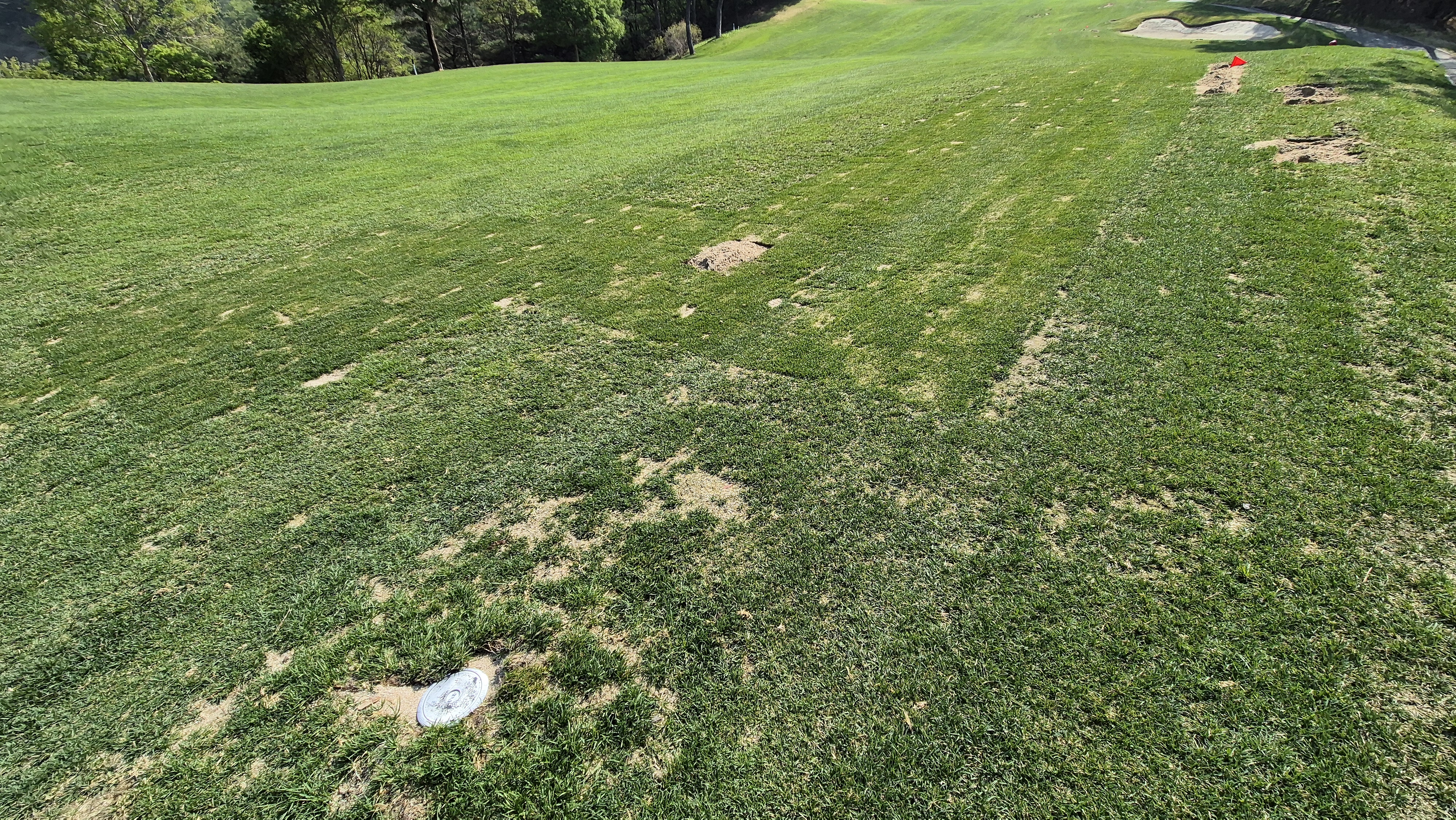 소노펠리체cc 비발디파크 웨스트