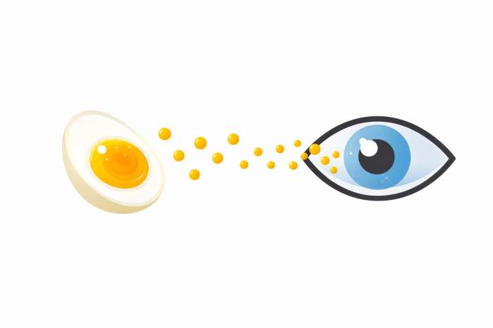 눈에 좋은 음식 10가지