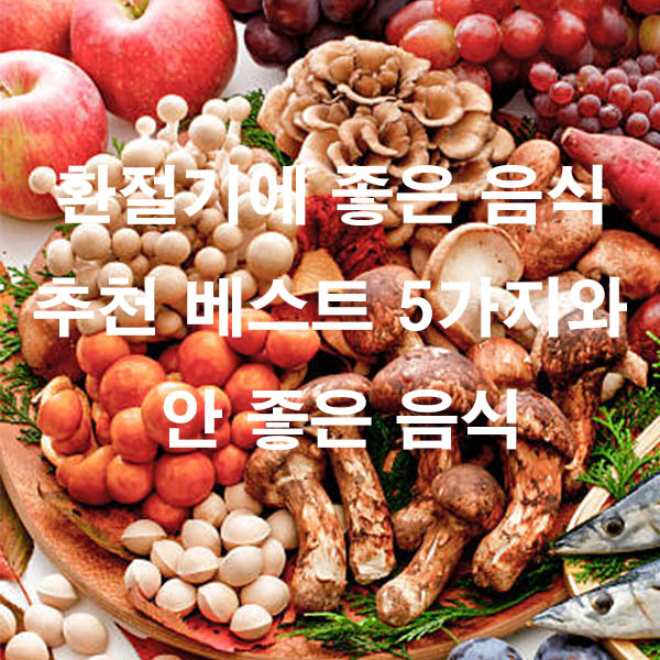 환절기에 좋은 음식 추천 베스트 5가지와 안 좋은 음식
