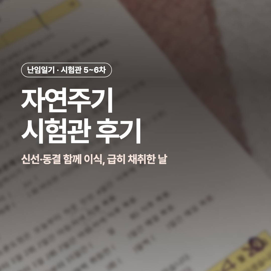 흐리게 처리한 병원 안내문 위에 자연주기 시험관 후기 제목이 적힌 썸네일