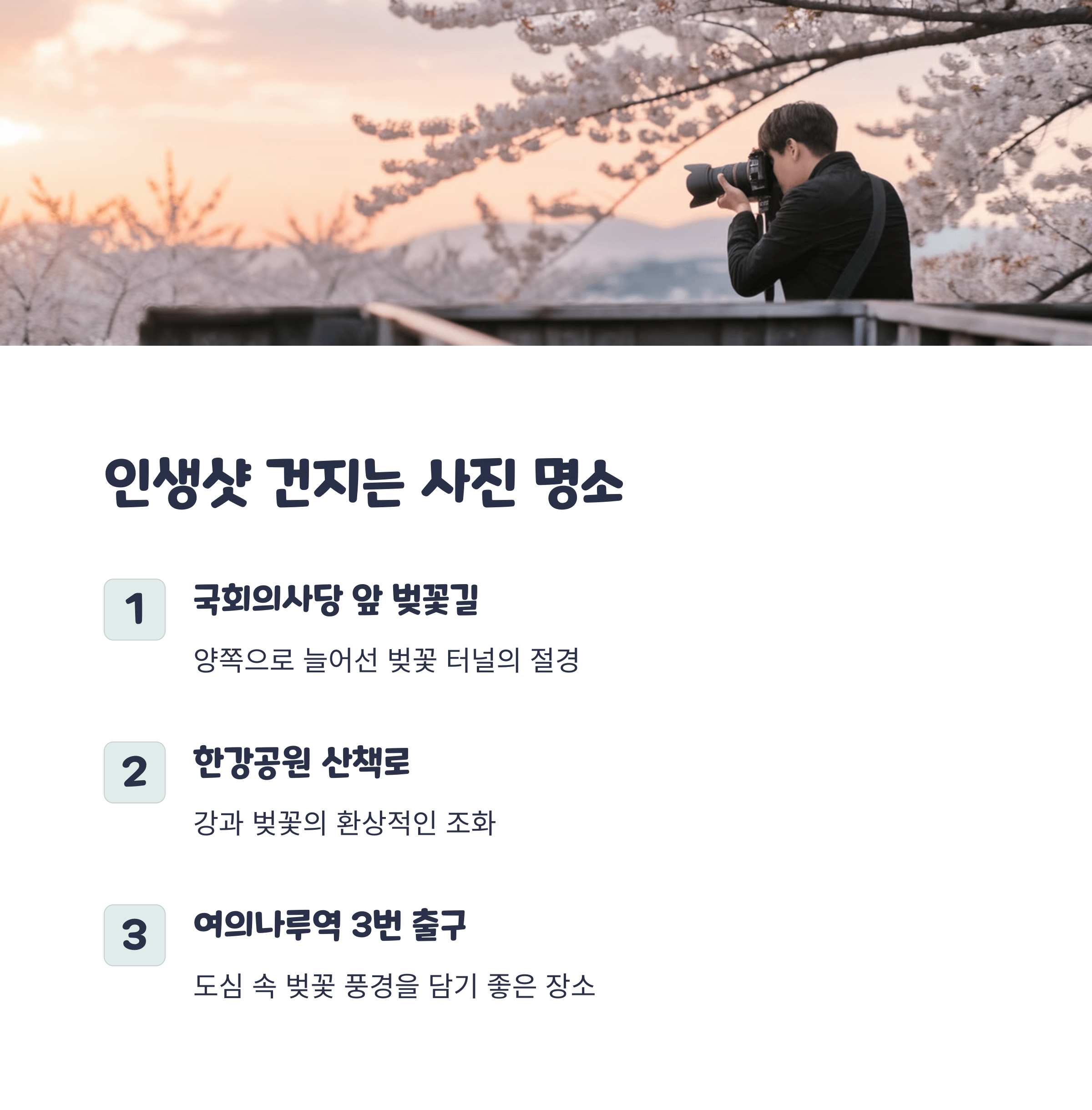 여의도 벚꽃 축제 2025 완벽 가이드: 드레스 코드부터 준비물