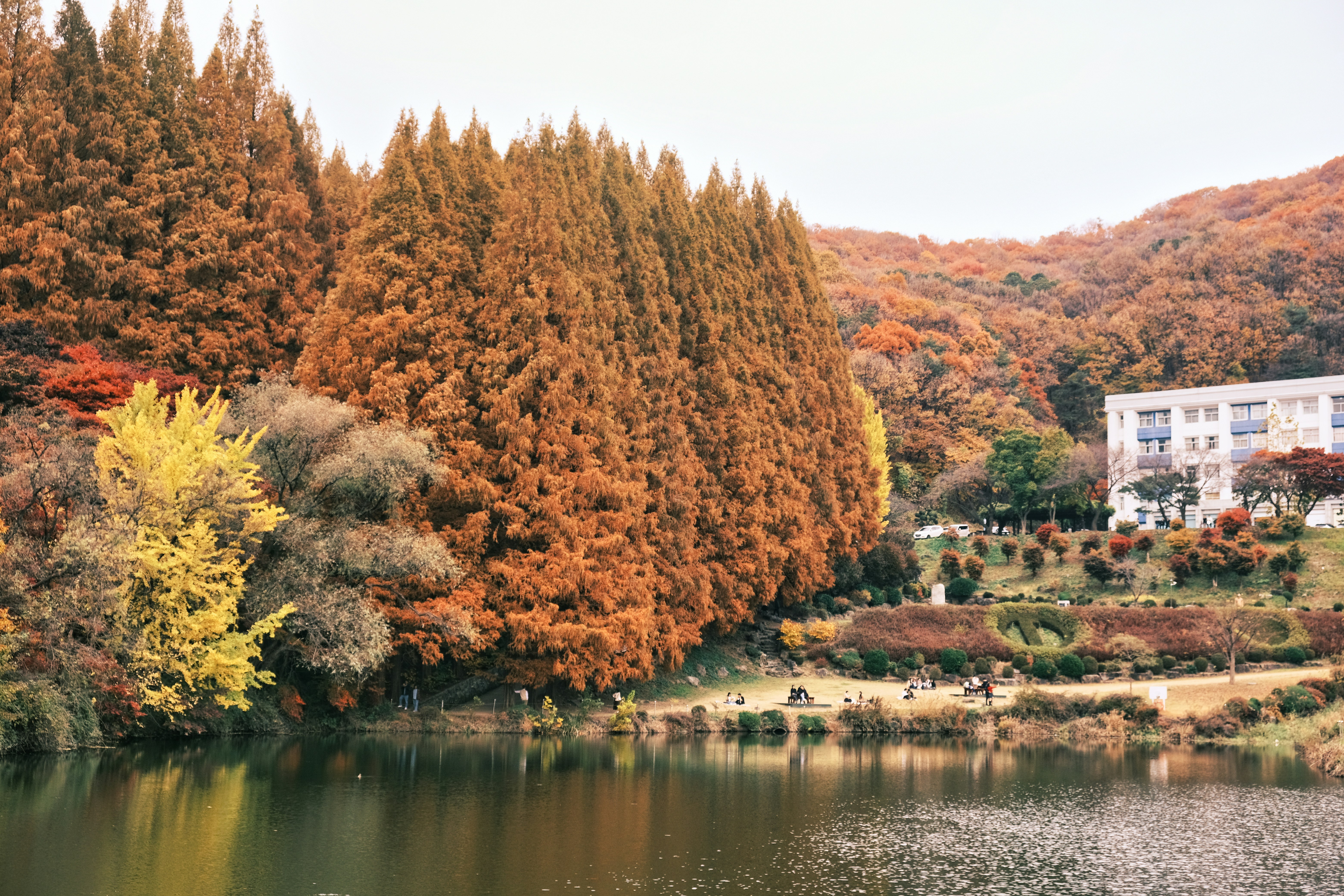 지역사랑 휴가지원제