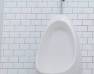 전립선에 좋은 음식