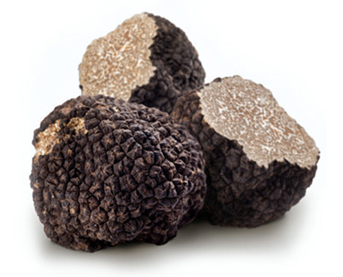 블랙 트러플버섯