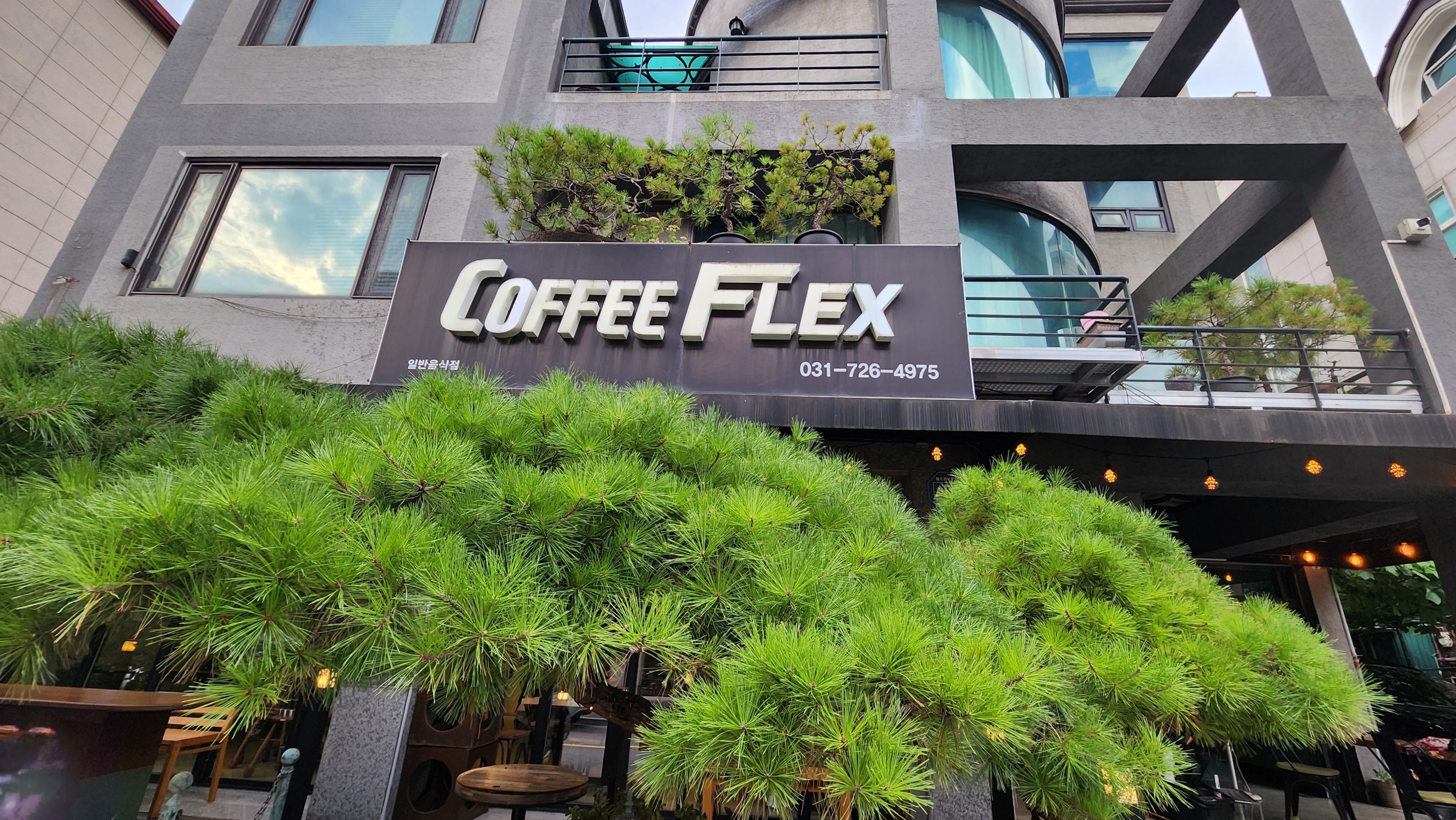 분당 정자동 카페 커피플렉스 | 리트리버와 함께하는 감성 공간. 샌드위치·빙수·파스타까지 다양한 메뉴와 단체모임 공간 완비.