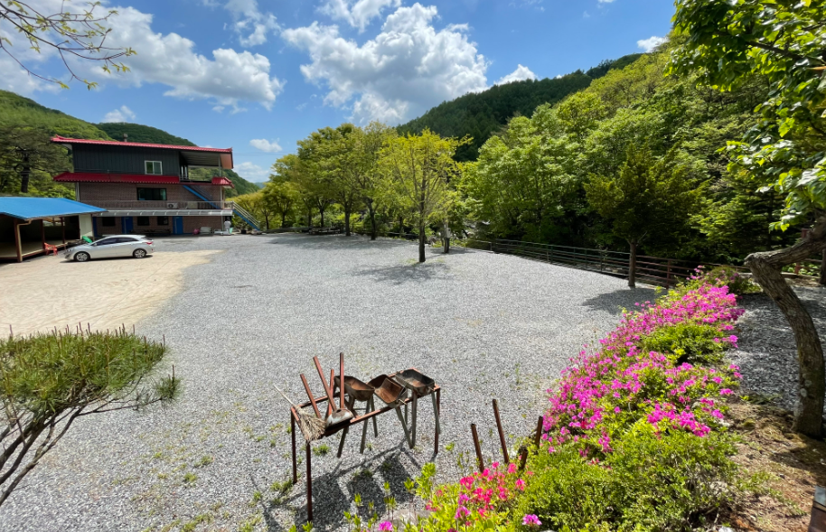 경기-가평-왕소나무-유원지-사진-입니다.