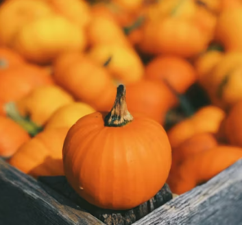 단호박 효능 부작용 영양성분 고르는법 칼로리