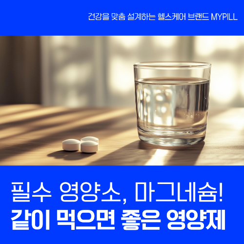 마그네슘과 같이 먹으면 좋은 영양제