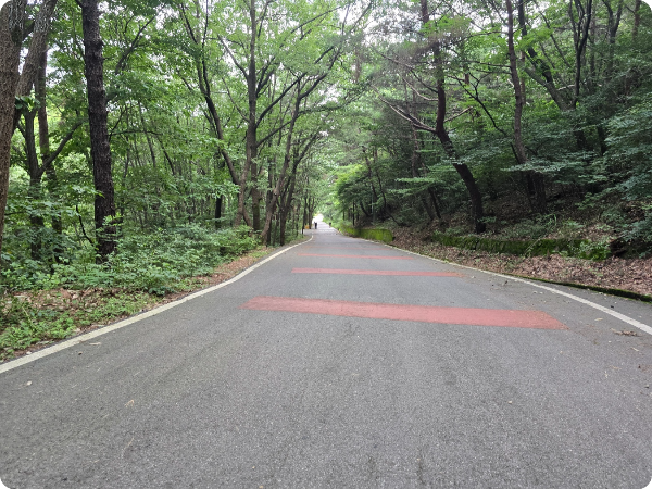 삼막사 가는 계곡 도로