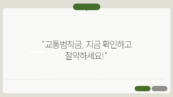 교통범칙금 처리의 경험 공유