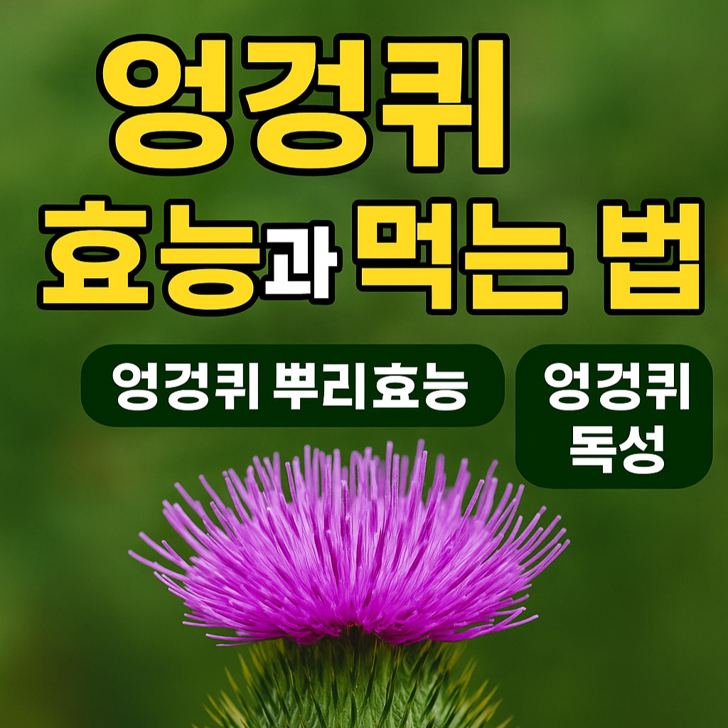엉겅퀴-효능-먹는법-뿌리-독성-총정리