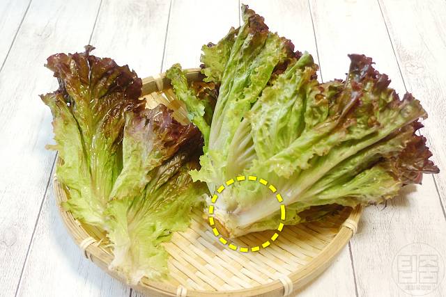 불면증에 좋은 음식 상추 줄기 천연 불면증 치료제