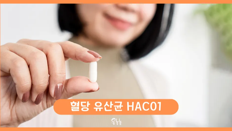 혈당 유산균 HAC01