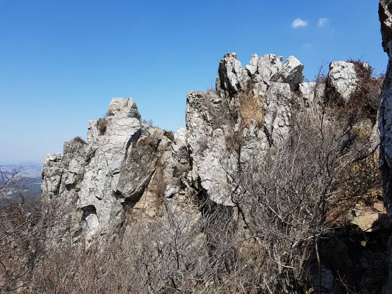 해남 달마산