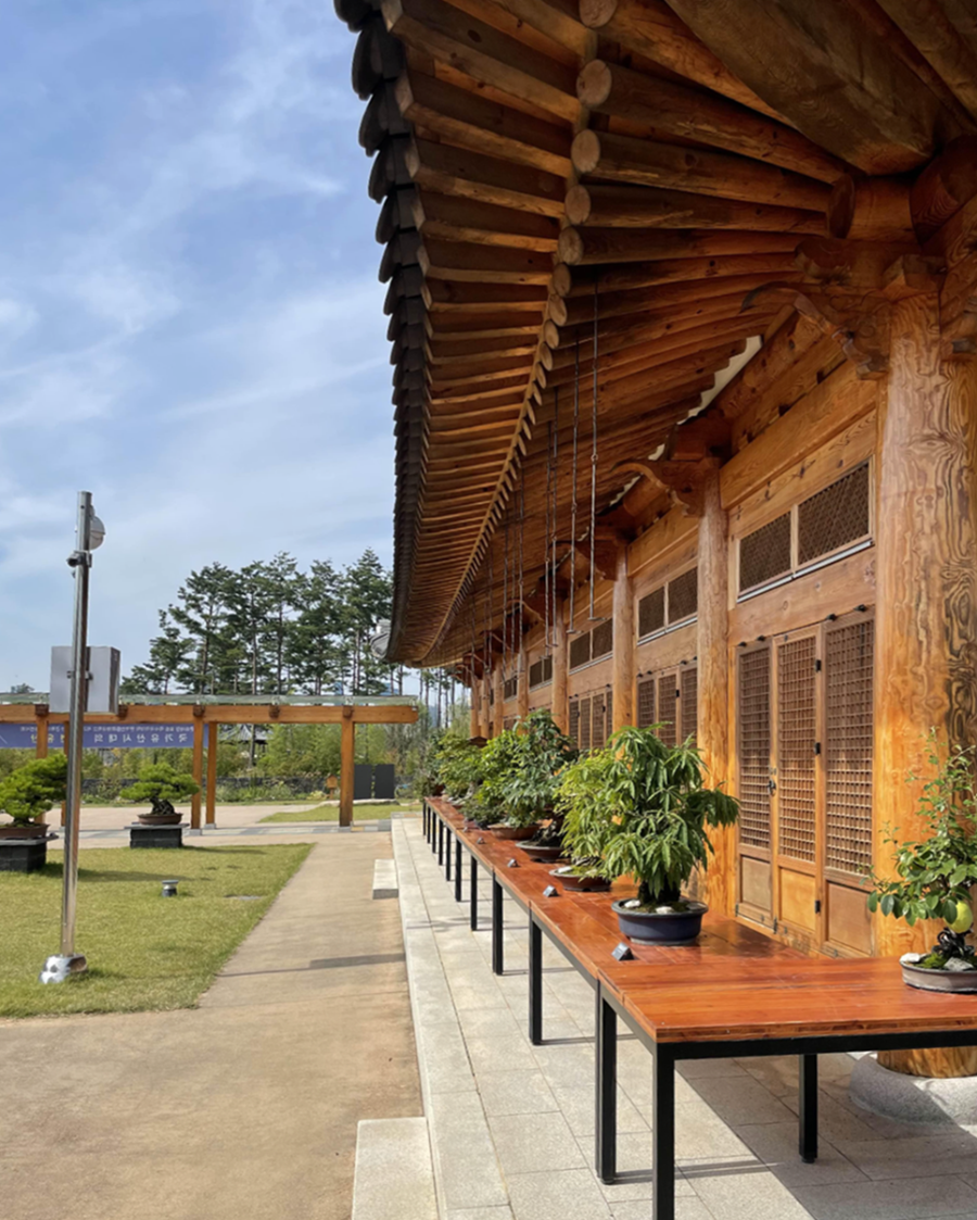 국립 세종수목원 분재원 여행