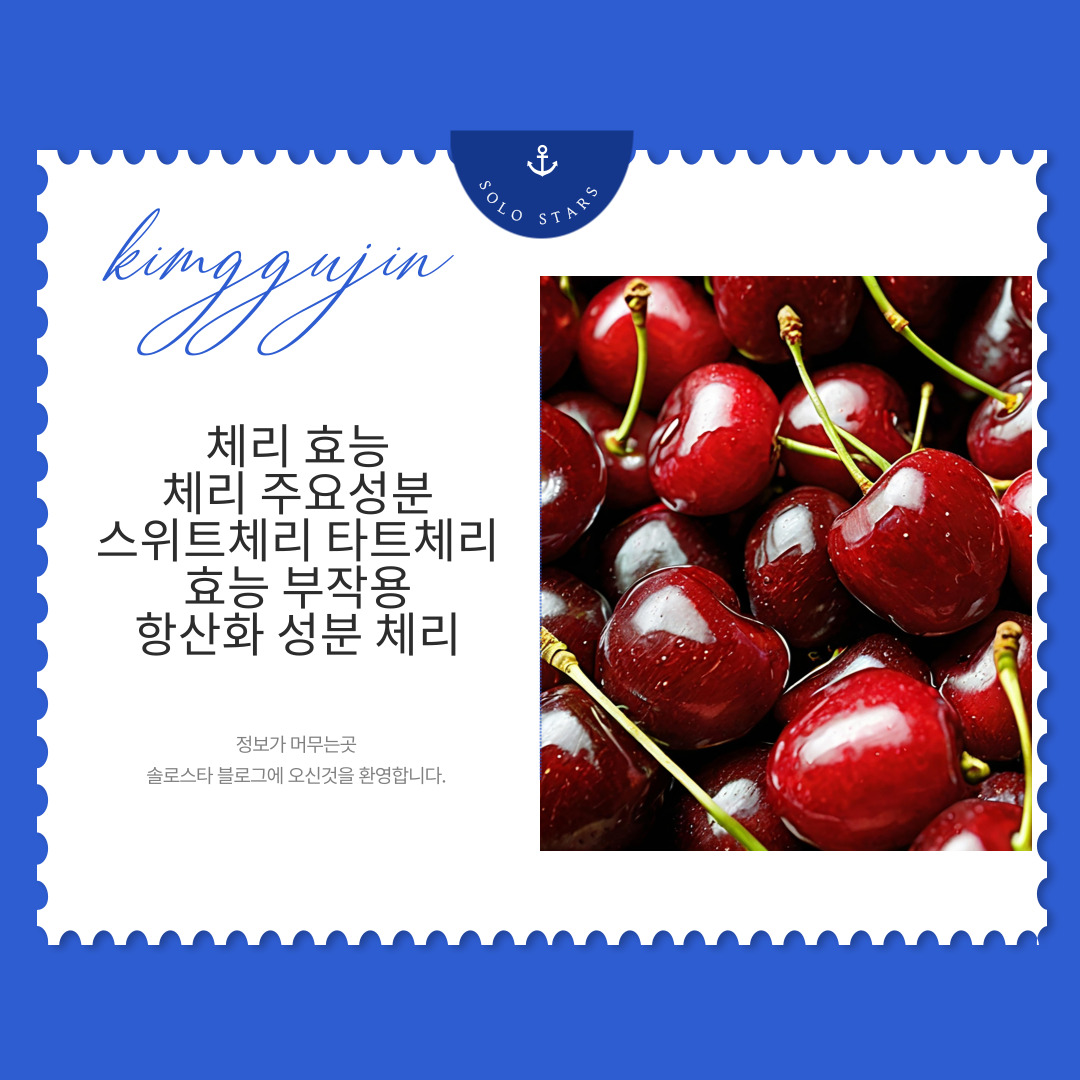 체리 사진