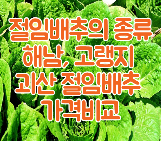 절임배추의 종류