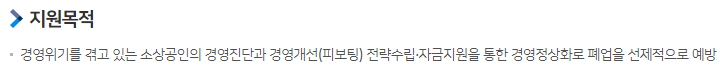 폐업 자영업자 소상공인 지원금: 경영 개선 사업화