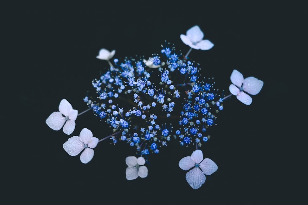 Antihistamine.